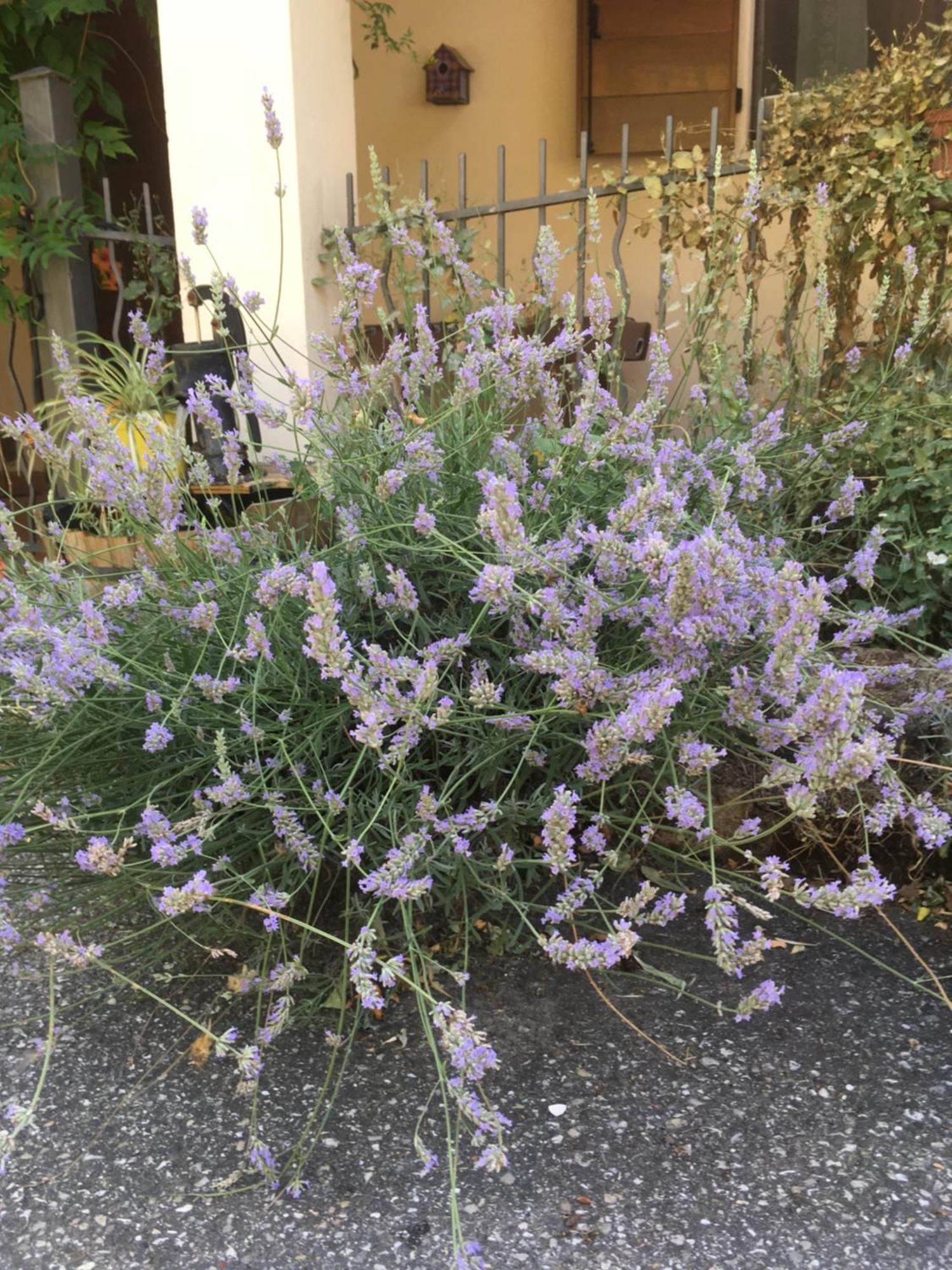 B&B Ca Biocco Sogliano al Rubicone Bagian luar foto