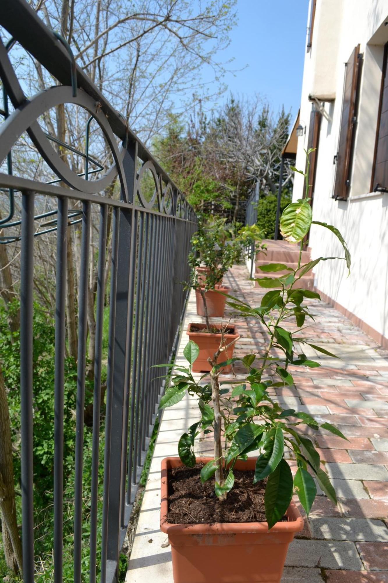 B&B Ca Biocco Sogliano al Rubicone Bagian luar foto
