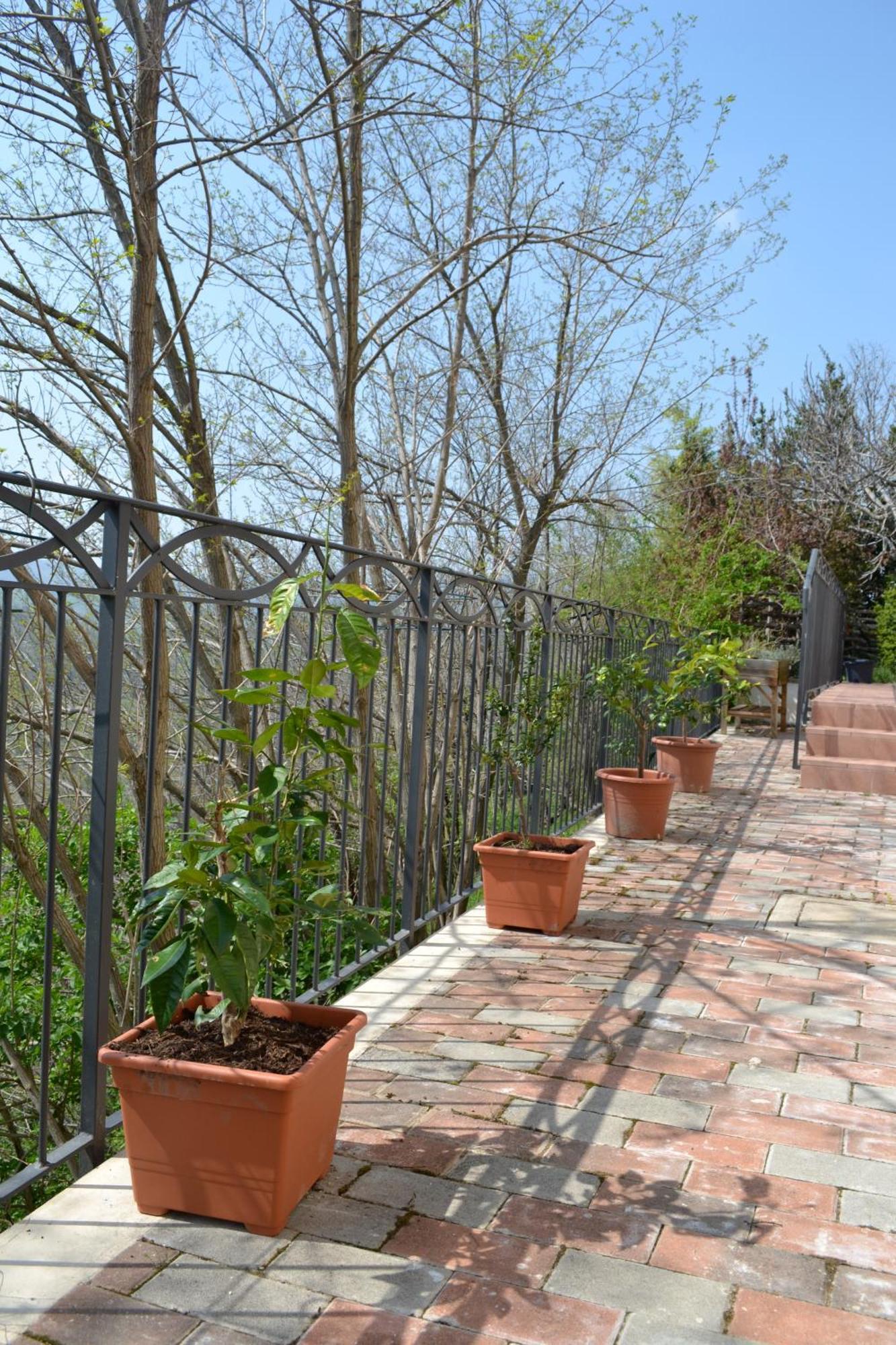 B&B Ca Biocco Sogliano al Rubicone Bagian luar foto