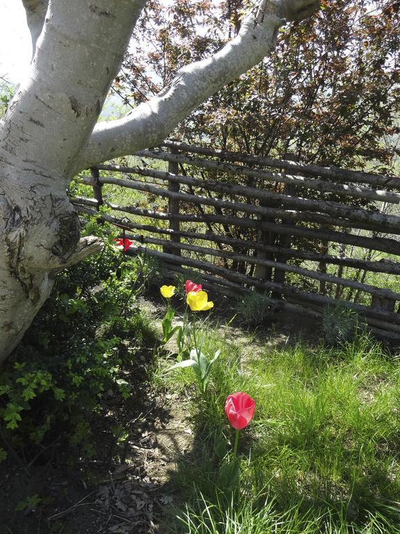 B&B Ca Biocco Sogliano al Rubicone Bagian luar foto