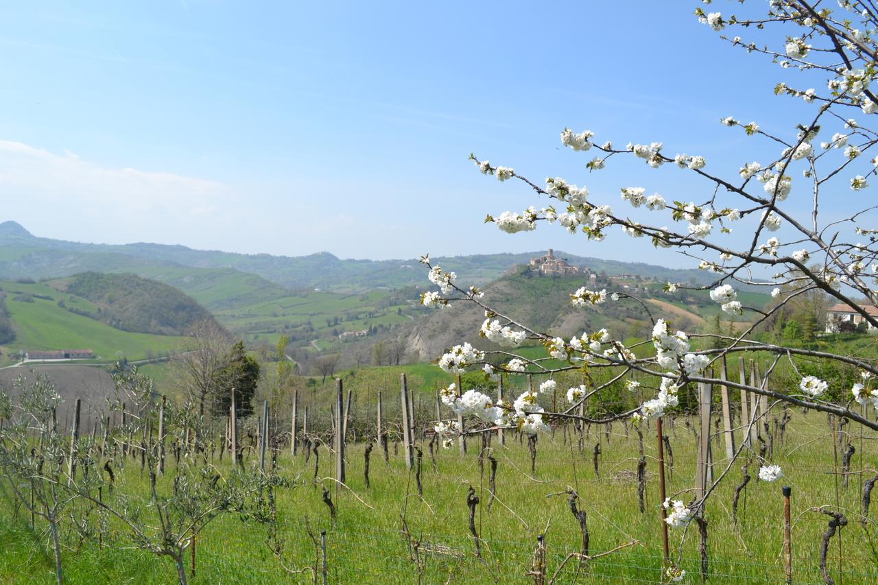 B&B Ca Biocco Sogliano al Rubicone Bagian luar foto